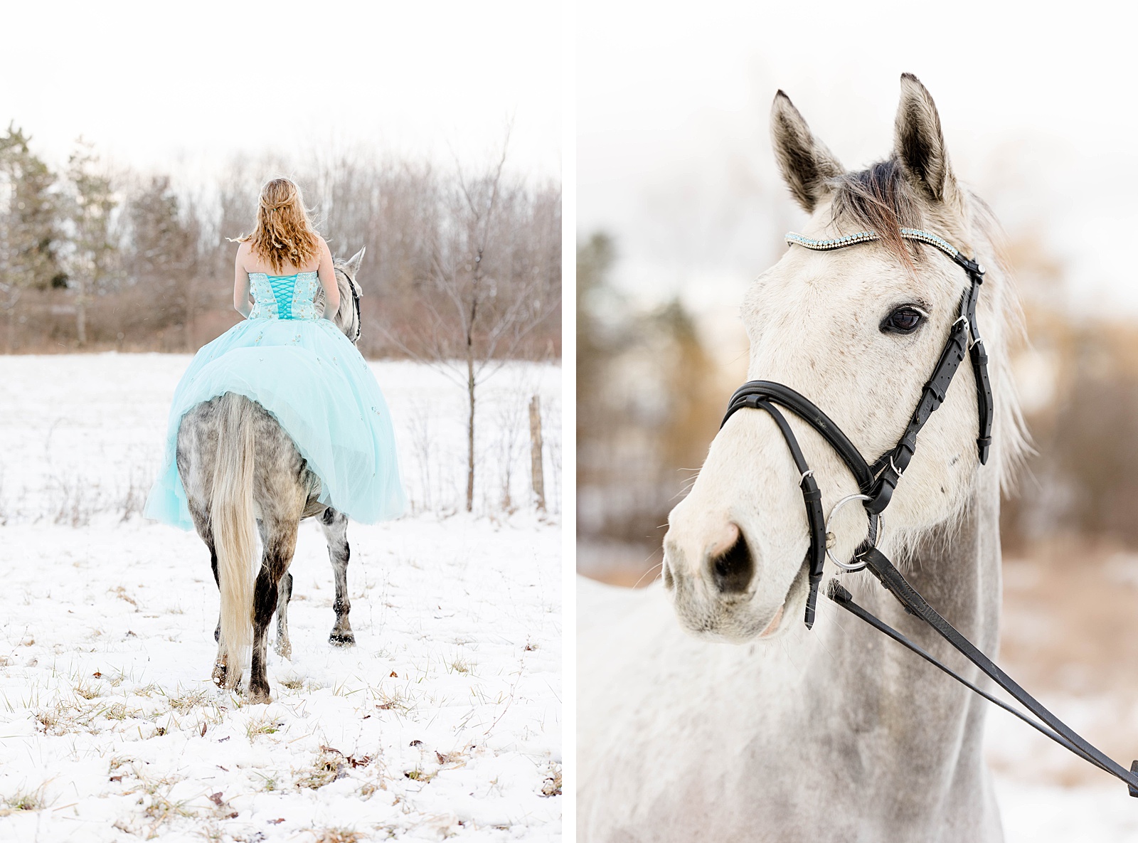Winter Senior Session- prom dress- Kara Hanes Photography_0008.jpg