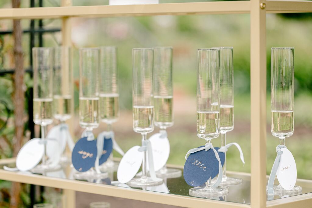 Wedding portraits in the Detroit War Memorial gardens