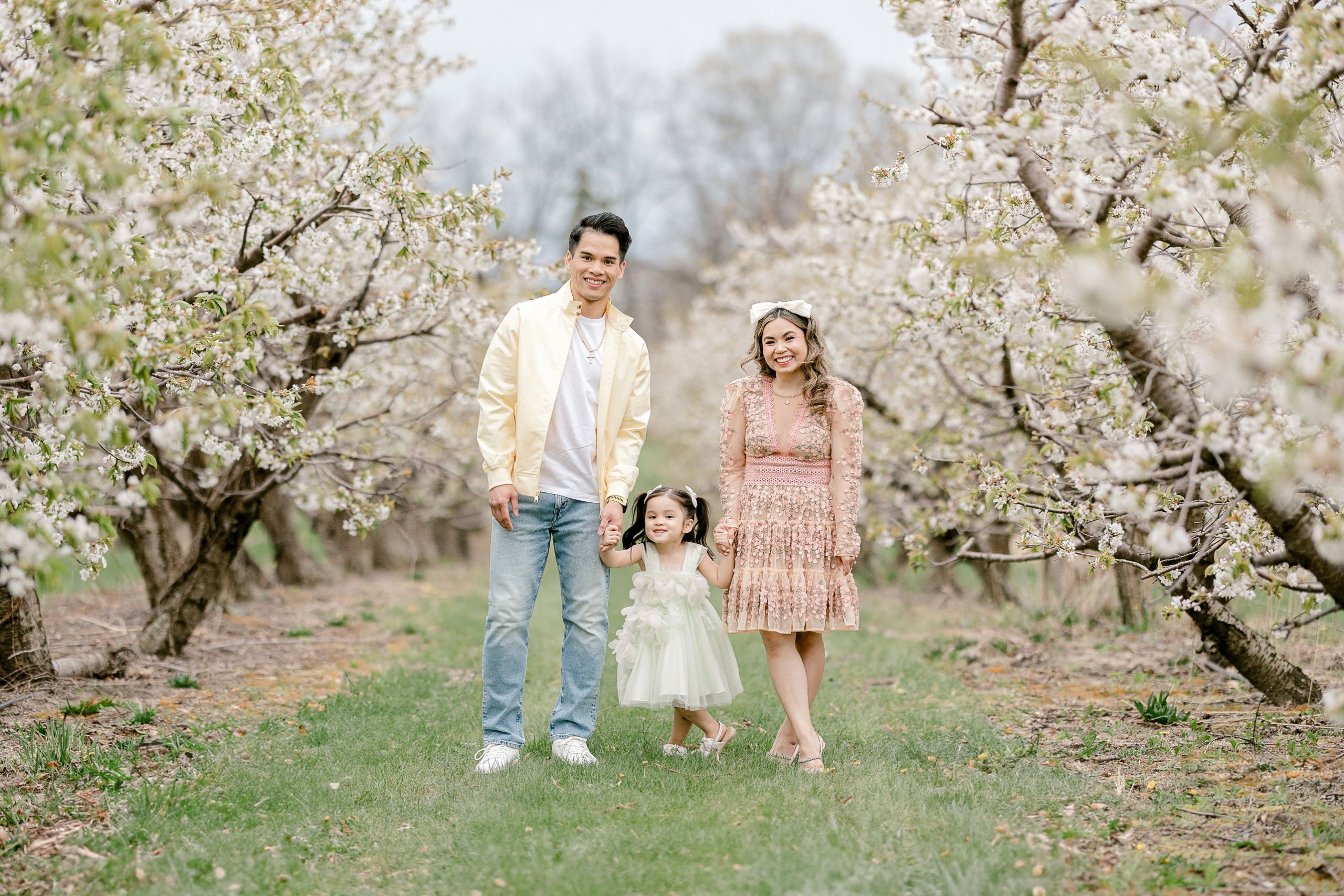 Family of three walking hand in hand down a row of white apple blossom trees at Robinette's orchard in Grand Rapids