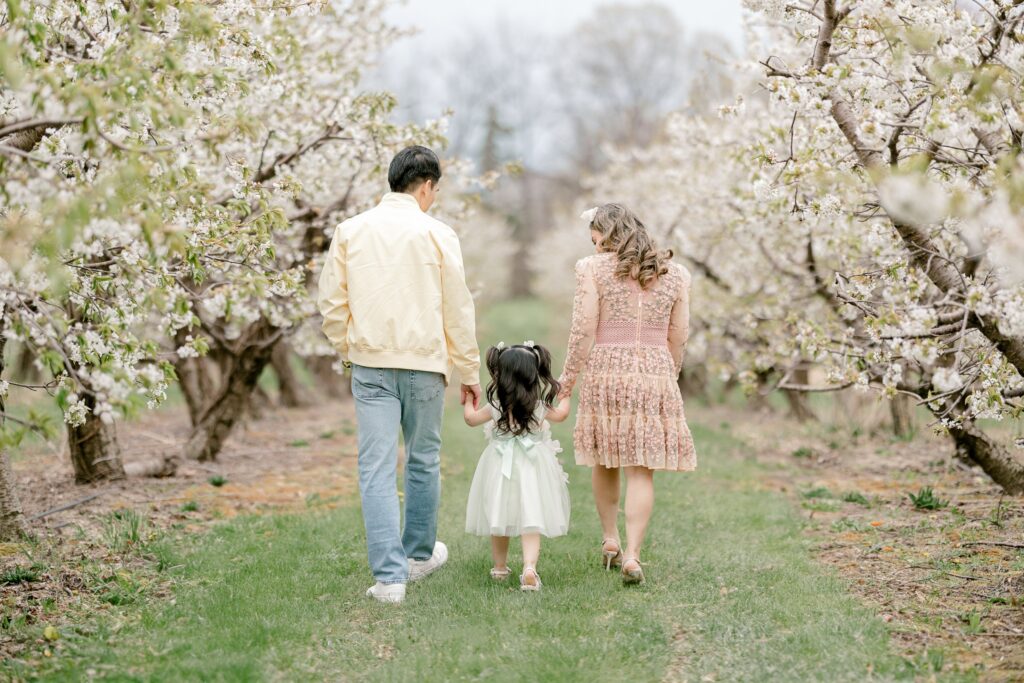 Family walking away down a grassy orchard row lined with white apple blossoms at Robinette's Apple Haus