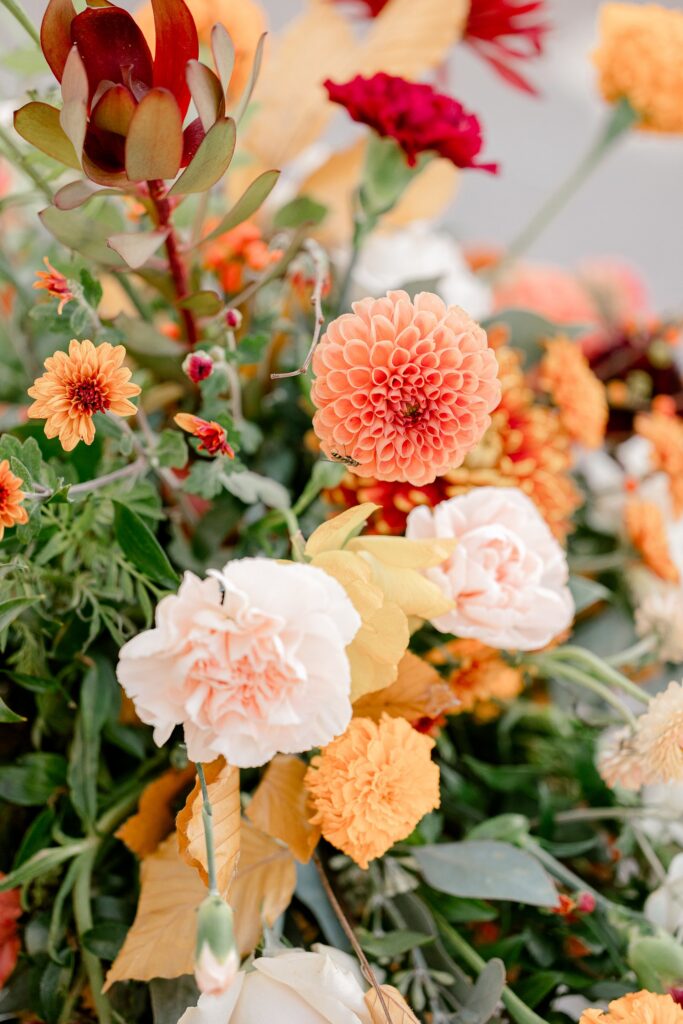 Close up of peach dahlias, carnations and fall leaves