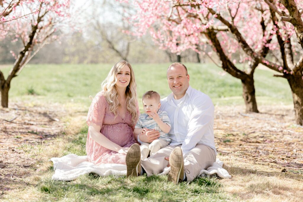 Family sitting on a blanket beneath pink peach blossom trees in a Grand Rapids orchard