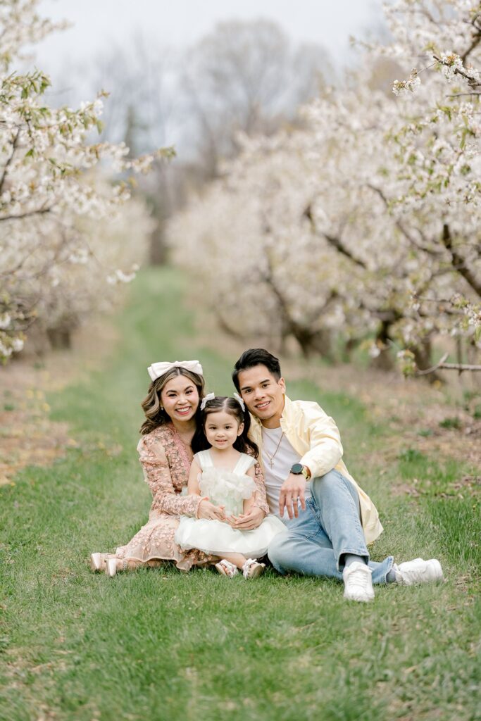 Mom, dad and toddler sitting together in the grass beneath apple blossom trees in West Michigan