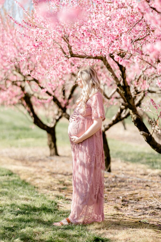 Expecting mom in a pink dress standing between pink peach trees in full bloom