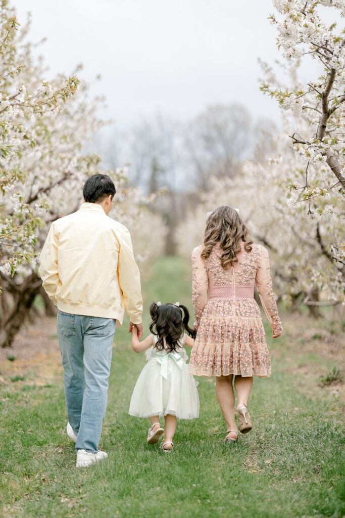 Parents walking with their toddler daughter between blooming apple trees at Robinette's in Grand Rapids