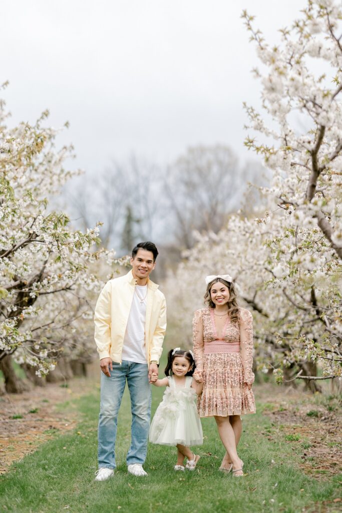 Family holding hands under white apple blossoms during a spring family session in Grand Rapids