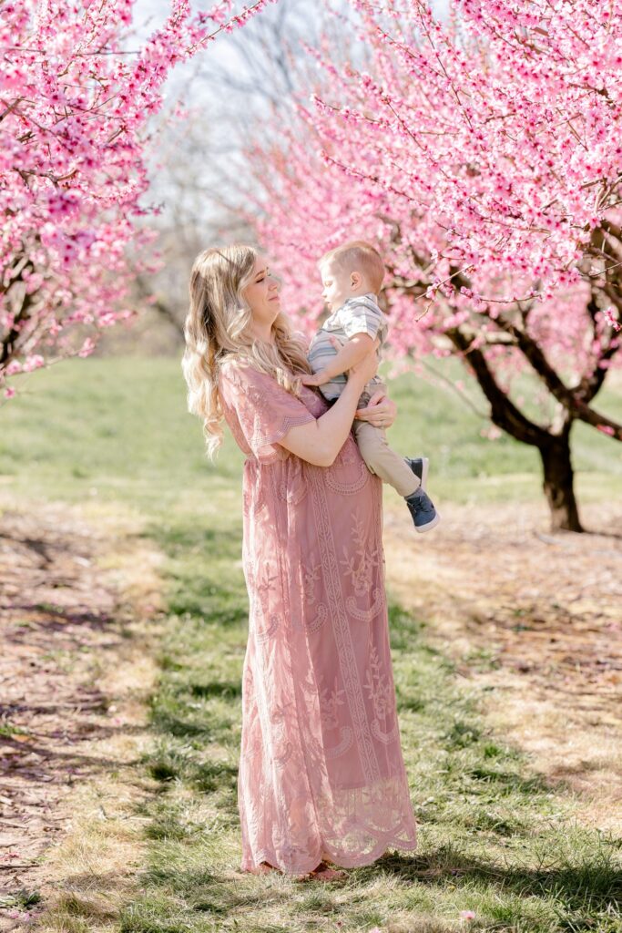 Expecting mom holding her toddler son under pink peach blossom trees during a spring session