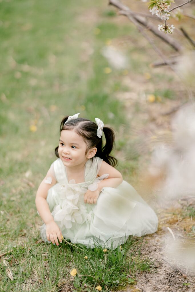 Smiling toddler sitting in the orchard grass with soft white apple blossoms in the foreground