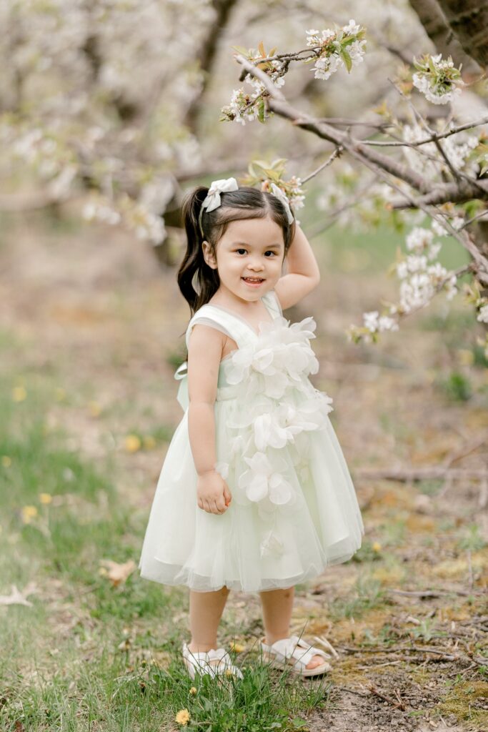 Toddler standing under a low apple blossom branch at Robinette's orchard in spring